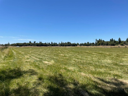 Imagen 2 de 10 de Parcela En Yumbel De 15.000m2