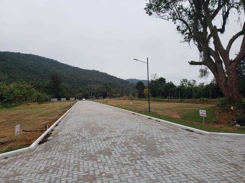 Imagem 5 de 10 de Lotes De 200m² Na Guarda Do Cubatão, Pagamento Facilitado.