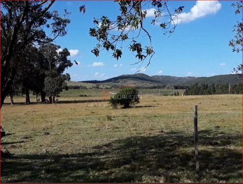 Venta De Campo En Lavalleja, 70 Hás Convivienda