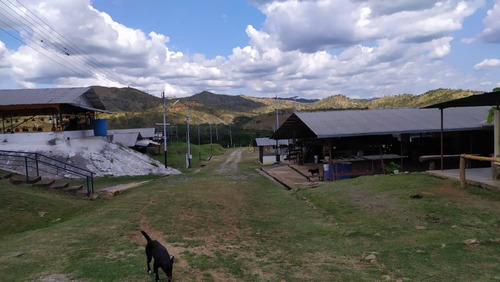 Vendo Finca En Tinaquillo Cojedes Mg