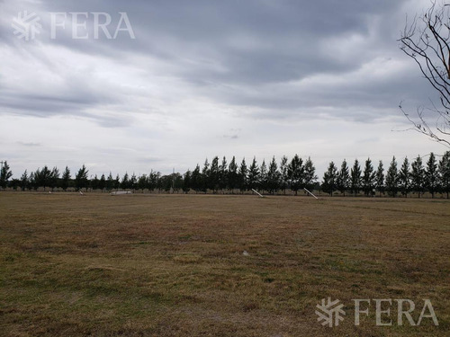 Venta Terreno De 1082 M2 En Haras Del Sur Iii
