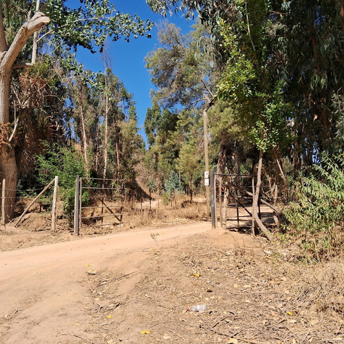 Fundo Sector Los Pinos 105.000 Mt2 Divididos En 19 Parcelas
