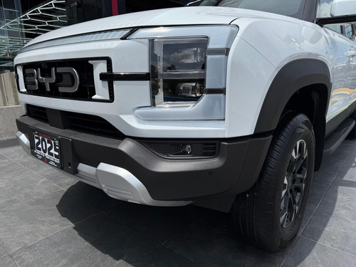 Byd Buick Shark Blanca
