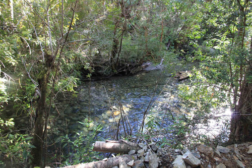 Campo De 326 Hectáreas En Llanada Grande, Cochamó.