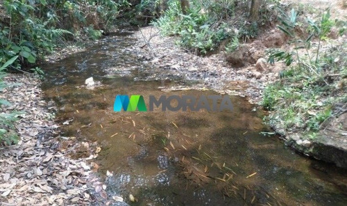 Imagem 6 de 15 de Fazenda - Zona Rural - Ref: 4350 - V-mta4350