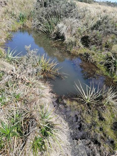 Venta De 30 Hectáreas De Campo En Garzón Maldonado (ref: Ksk-222)