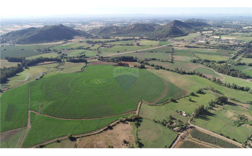 Fundo El Paso. Gran Suelo Agrícola De 128 Ha.