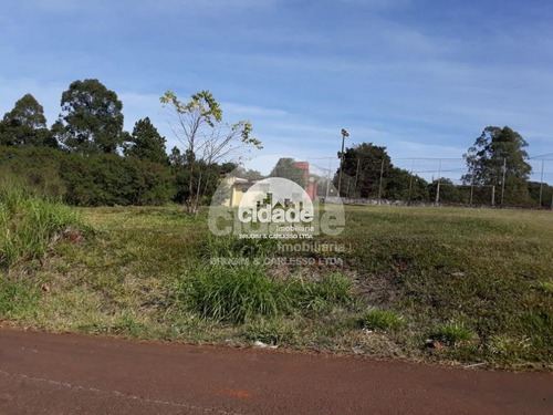 Imagem 4 de 4 de Terreno À Venda, Região Do Lago - Cascavel/pr - 11828