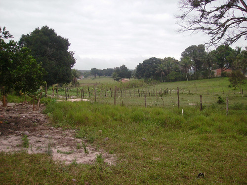 Imagem 14 de 14 de Vende-se Chácara No Centro De Alagoinhas