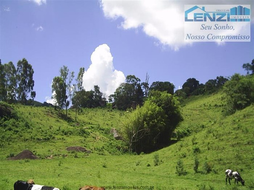 Imagem 6 de 12 de Sítios À Venda Em Munhoz/mg - Compre O Seu Sítios Aqui! - 1397458