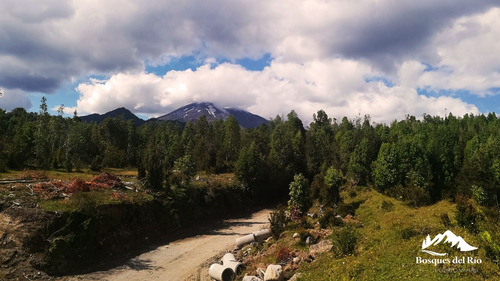 Black Friday 50% Dcto - Parcela 5.000 M2 Bosque Nativo Y Río