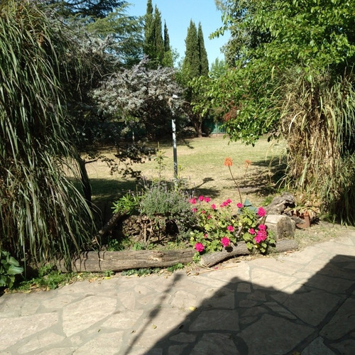 Imagen 9 de 26 de Alquiler De Quinta Por Dia