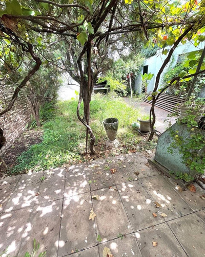 Imagen 8 de 8 de Venta Local Comercial Mas Casa