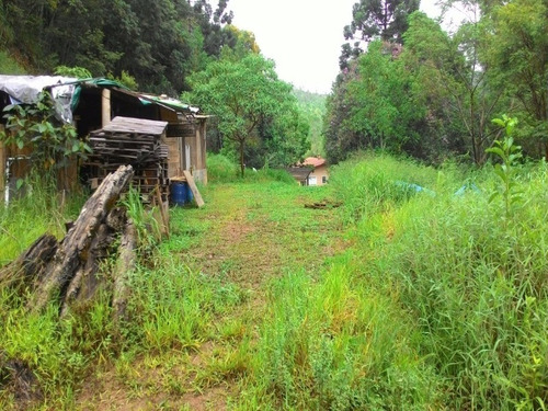 Imagem 30 de 30 de Sitio - St00006 - 4310429