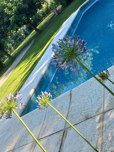 Casa Quinta En Alquiler En Gral Rodriguez