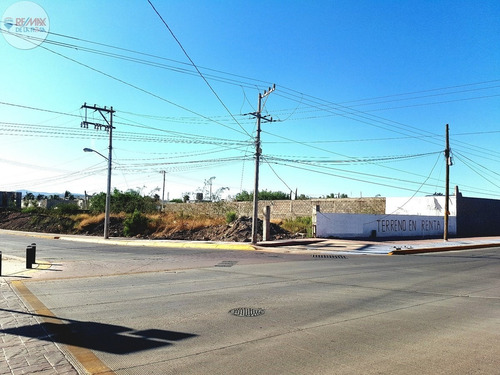 Imagen 3 de 4 de Renta De Terreno En Esquina Sobre Camino De Los Riegos
