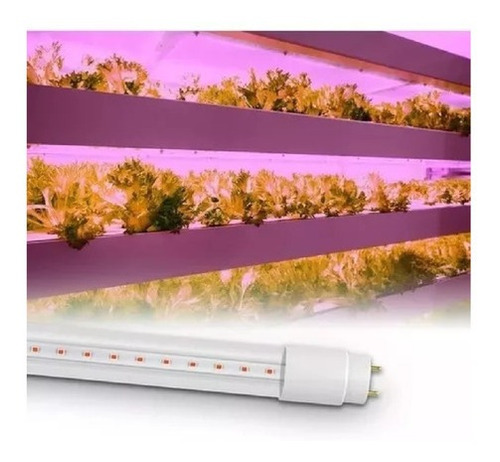 Tubo Led Grow Sica 911267 Para Cultivos Interiores 9w