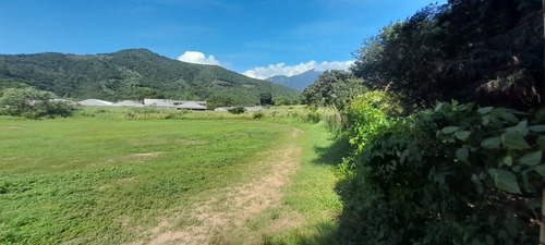 Se Vende Terreno Guarenas- Guatire Con Zonificación Industrial O Residencial. (rs90)