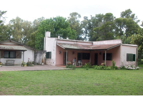 Imagen 4 de 30 de Campo En Venta En Arditti | Ruta 11-km.57 (110 Has)
