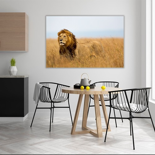 Cuadro Decorativo Animales Canvas Leon Poderoso Felino