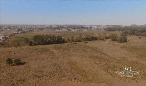 Imagem 8 de 11 de Área À Venda, 20262 M² Por R$ 3.545.950,00 - Guatupê - São José Dos Pinhais/pr - Ar0083