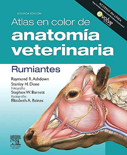 Atlas En Color De Anatomía Veterinaria  Rumiantes 