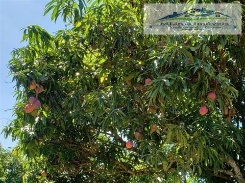 Imagem 3 de 19 de Chácaras À Venda Em Bragança Paulista/sp - Compre O Seu Chácaras Aqui! - 1479523