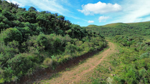 Oportunidade! 2 Hectares A Partir De R$ 99.000,00
