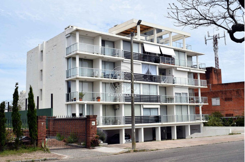 Apartamentos Alquiler Temporal 1 Dormitorio Piriápolis