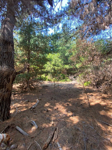 En Venta Excelente Sitio A 5 Minutos De Puertecillo