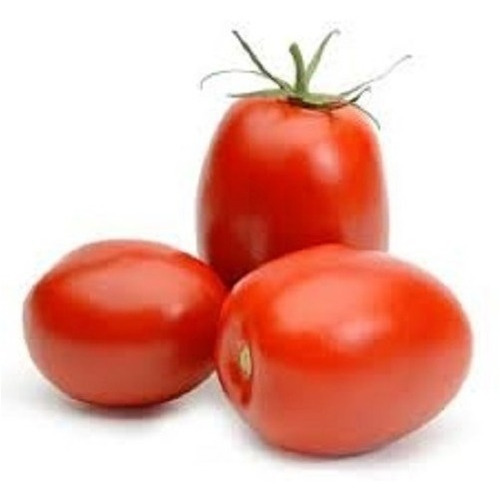 Tomate Rasteiro Rio Grande 1.500 De Sementes Aproximado 