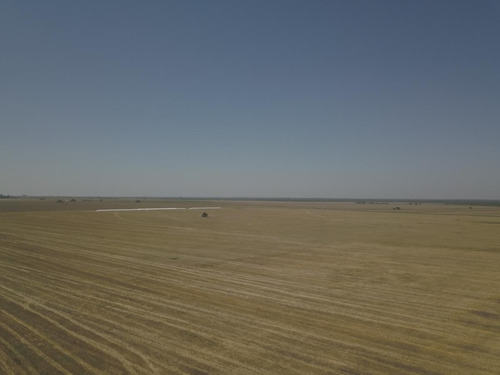 Imagen 5 de 8 de Campo - Bovril