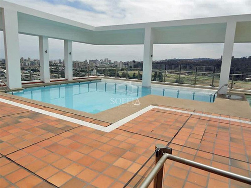 Departamento En Arriendo En Calle Limache En Viña Del Mar