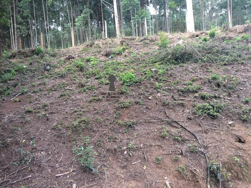 Chácara A Venda No Bairro Centro Em Bocaiúva Do Sul - Pr. - 411-1