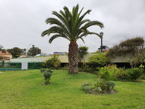 Arriendo Departamento Amoblado Año Corrido Con Vis...