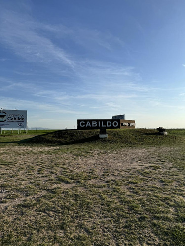 Terreno En Venta En Vicente Lopez 500, Cabildo