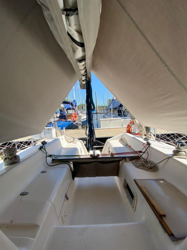 Velero Fayd 31