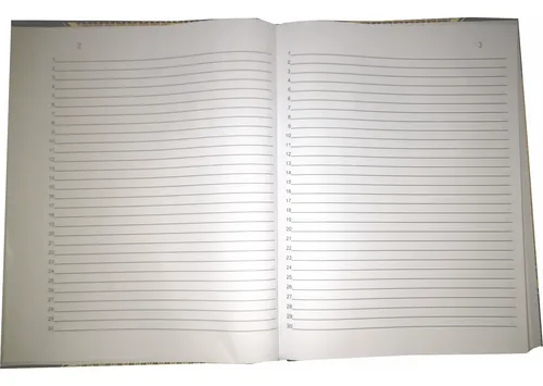 Libro De Acta 100 Folios