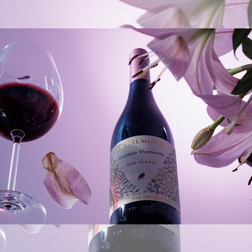 Vino Fin Del Mundo Pinot Noir Orgánico 1x750 Ml