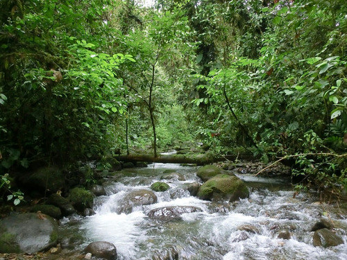Imagen 12 de 24 de Finca Vacacional- Hosteria