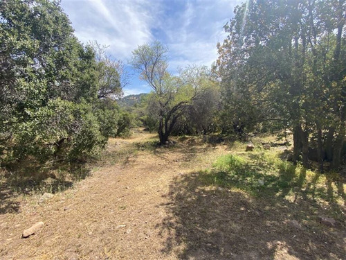 Ex Fundo La Punta Sector Cordillera (75869)