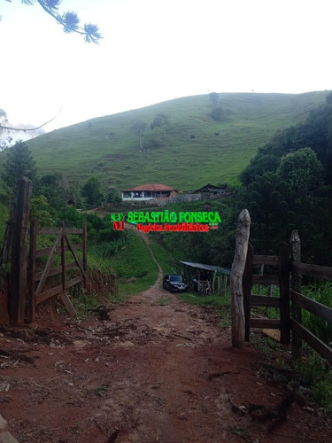 Imagem 2 de 15 de Belo Sítio Em Marmelópolis - Mg - 1247