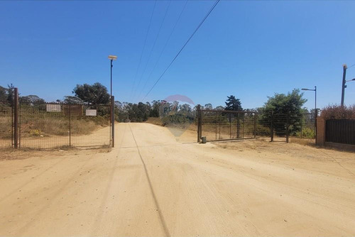 Inversión Ideal: Gran Terreno En Algarrobo,