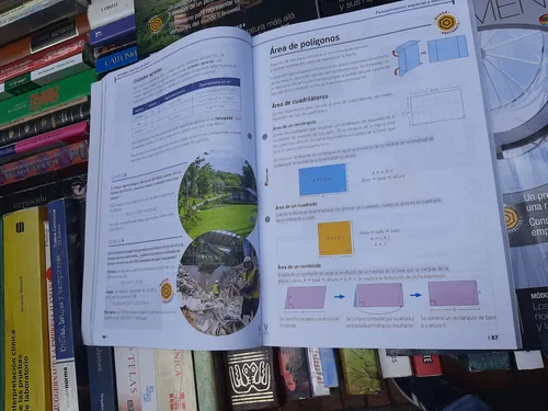 Activamente Lenguaje Y Matematicas 6 (Usado)