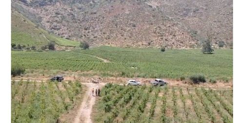 M64218 - Venta Terreno Viñas De Buin Sin Comision - 10 Ha