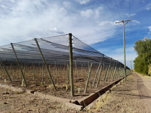 Imagen 2 de 8 de Finca De 25 Has. En Barrancas