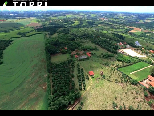 Imagem 5 de 7 de Sitio Na Rodovia Castelo Branco - St00077 - 68238939