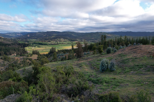 Imagen 6 de 14 de Oferta Hermoso Terreno En Lago Vichuquén - Vista Al Lago