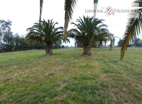 Parcela En Venta En Talagante