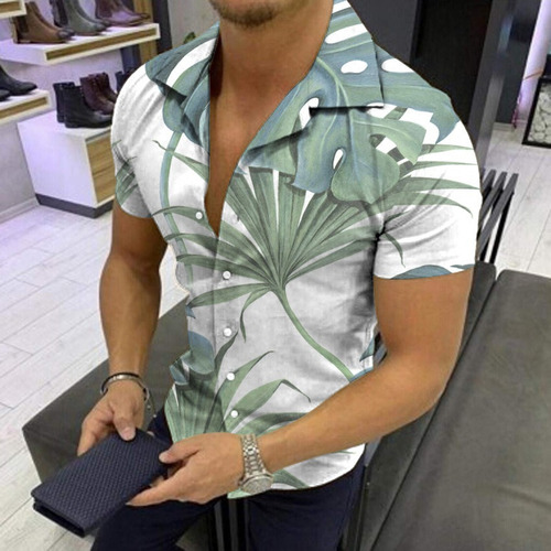 Conjunto De Ropa De Playa Hawaiana Para Hombre, Camisa [u]